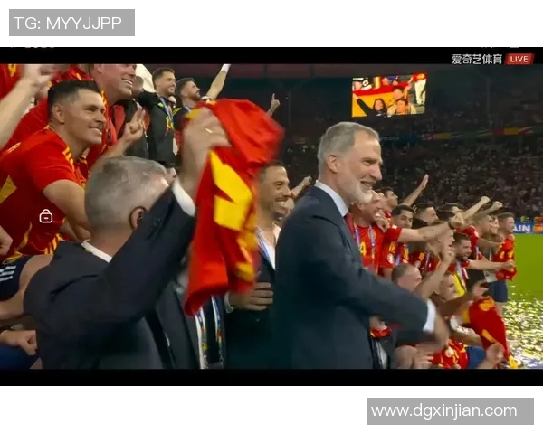 2015欧洲杯精彩回顾与经典瞬间分析让我们重温足球盛宴的激情与荣耀